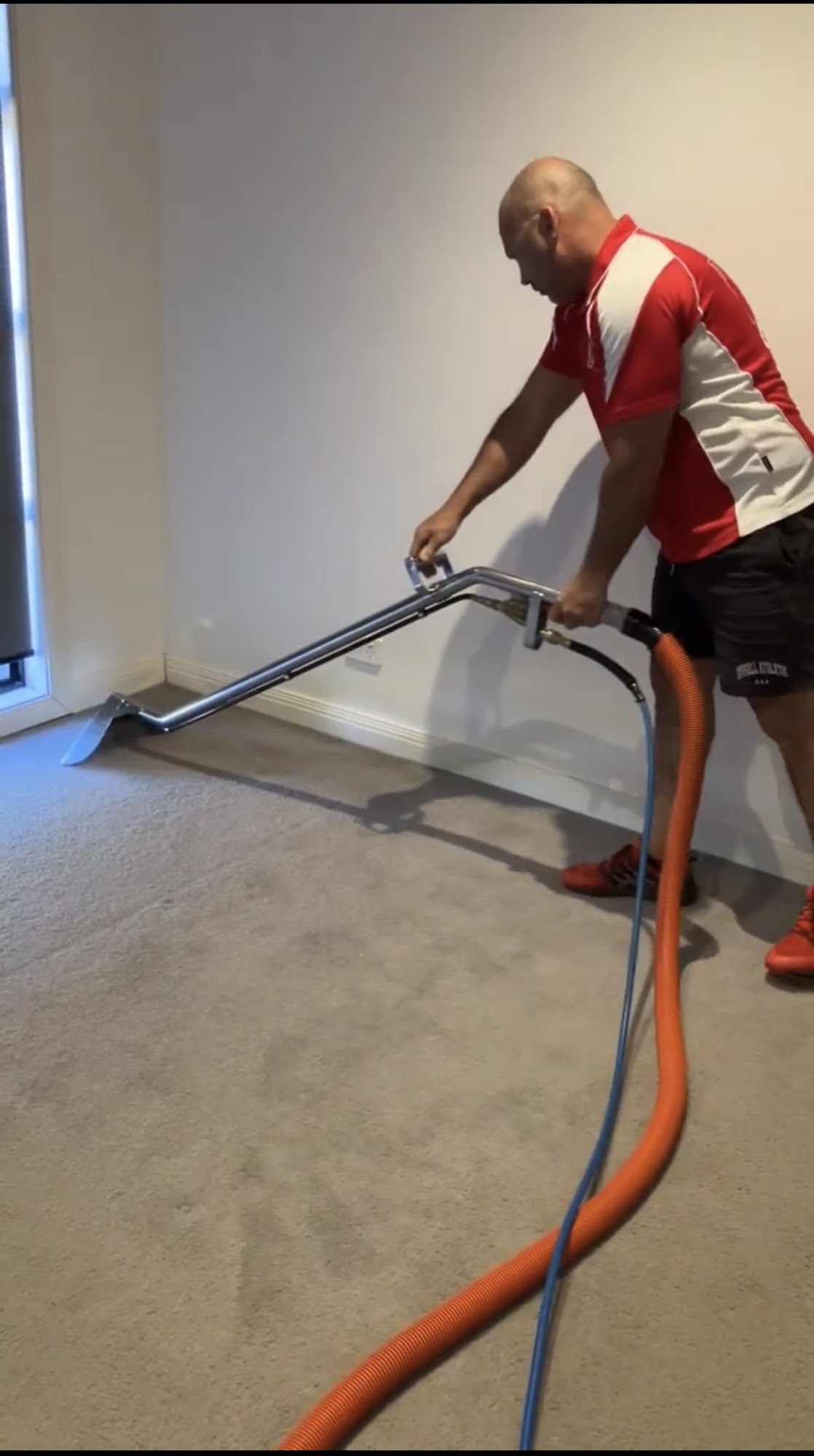 Deep steam carpet cleaning in a Mildura home